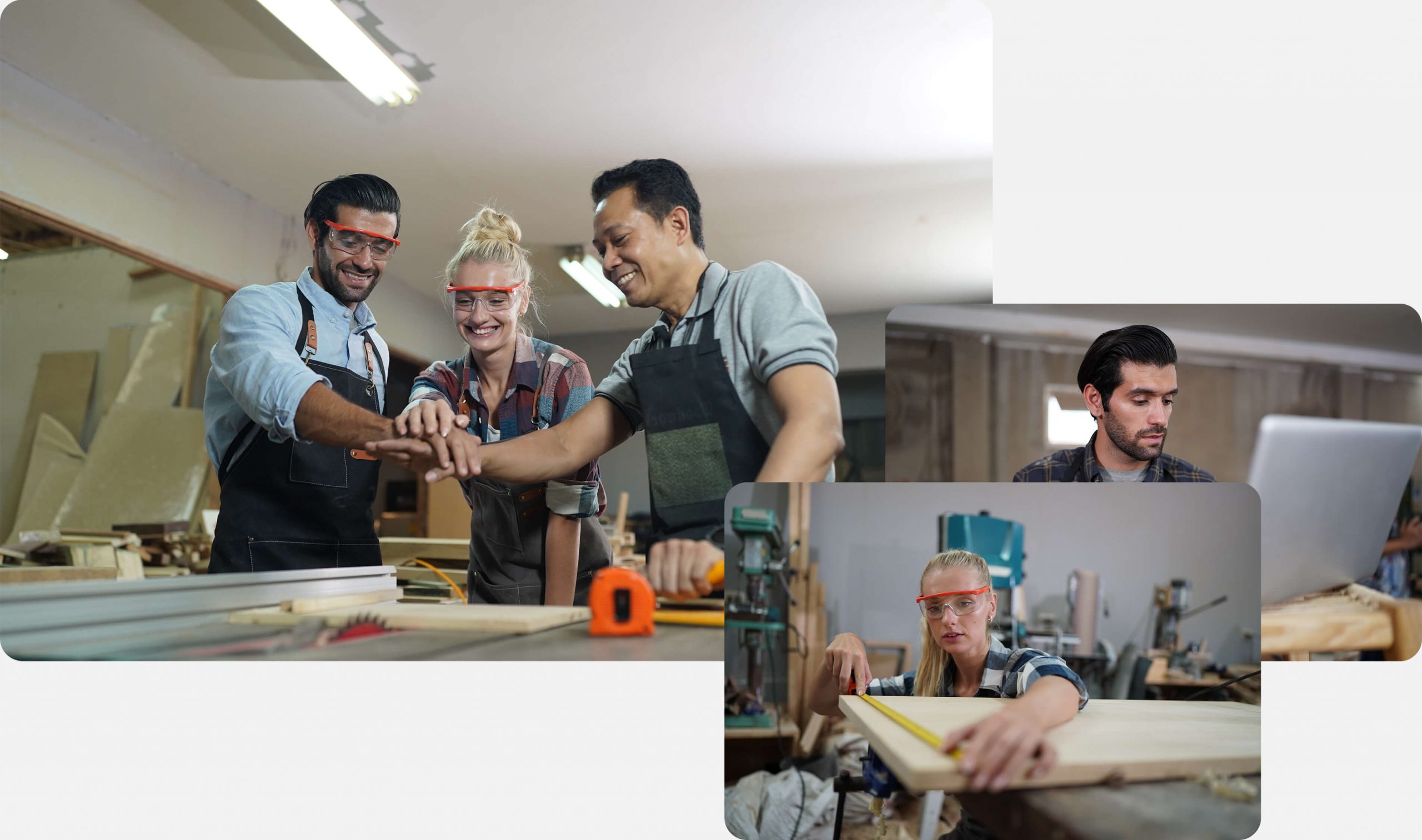 More About The Program